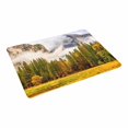 thumbnail image 2 of MKHERT Landscape Yosemite National Park Valley at Cloudy Autumn Morning Doormat Rug Home Decor Floor Mat Bath Mat 23.6x15.7 inch, 2 of 3