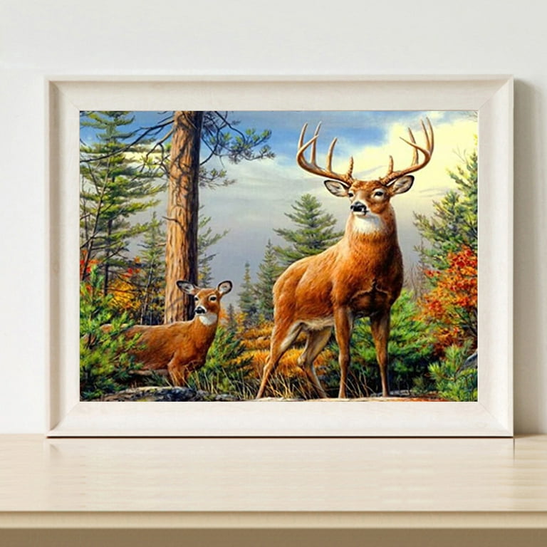 Paint By Numbers Kit DIY Oil Painting Framed Canvas Art Kids Deer Flower  Animal