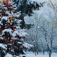 thumbnail image 5 of Orinice Christmas Tree Snow Park Bathroom Decor Set Colorful Luxurious Graphic Print Polyester Fabric Shower Curtain Set with Hooks 69x72, 5 of 7