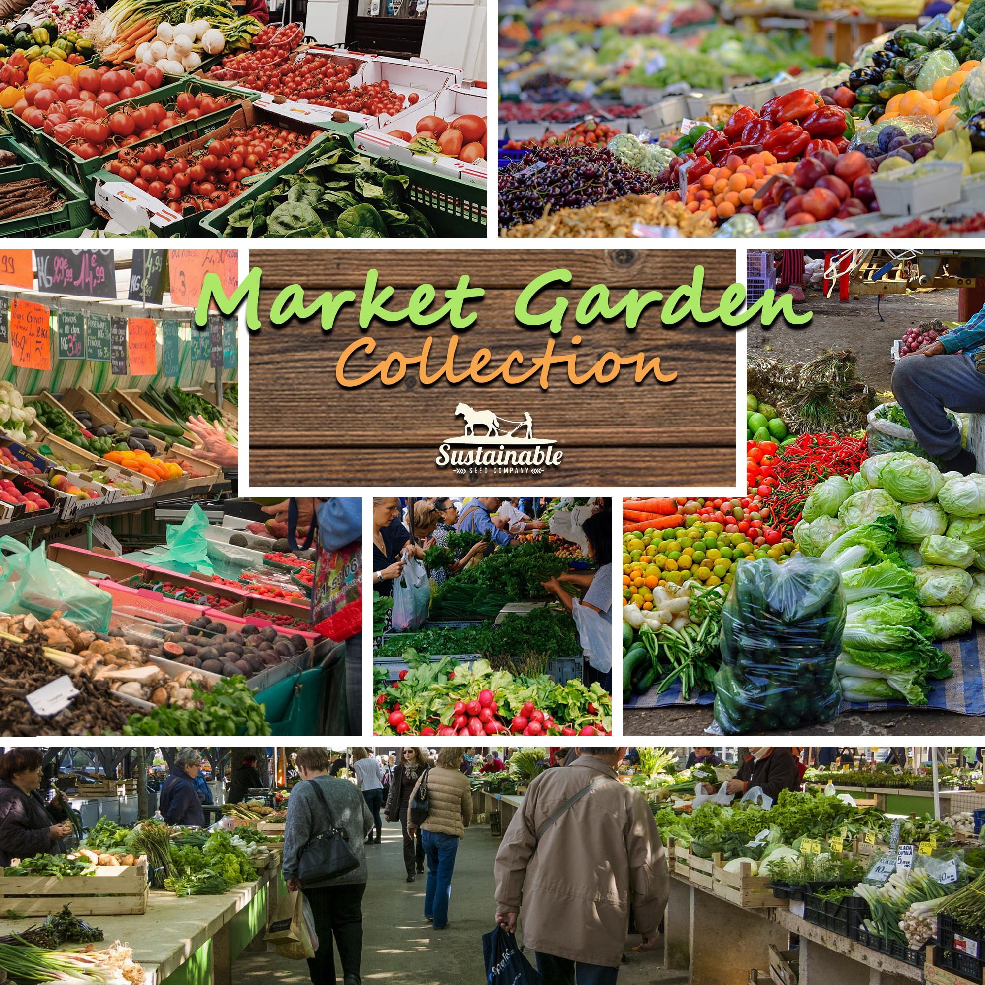 15-Pack Non-GMO Market Garden Heirloom Seed Collection - Homestead Tomato, Straightneck Squash, Contender Bush Bean, Danvers 126 Carrot, Bloomsdale Spinach, Summer Bibb Lettuce, Bell Pepper, Zucchini
