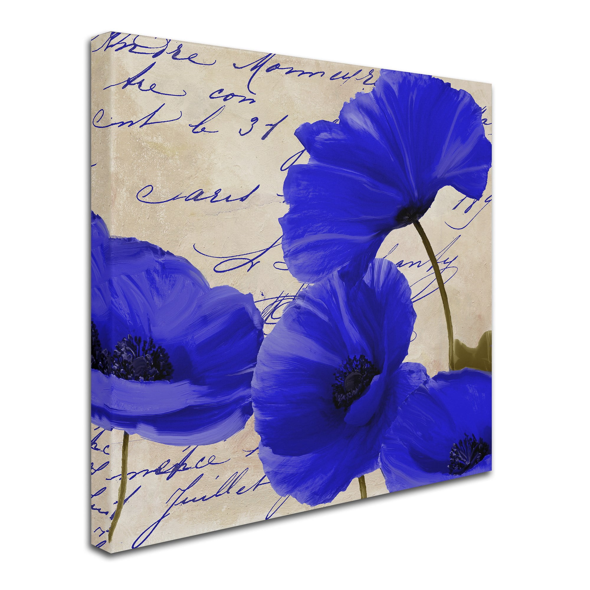 Trademark Fine Art "Coquelicots Bleues I" Canvas Art by Color Bakery