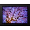 thumbnail image 2 of Mikaels, Natalie 18x13 Black Modern Framed Museum Art Print Titled - Weeping Cherry, 2 of 5