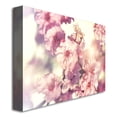 thumbnail image 3 of Beata Czyzowska 'Spring Melody' Canvas Art, 3 of 3