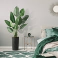 thumbnail image 4 of Artificial Tree in Geometric Spiral Pattern Planter, Fake Bird of Paradise Silk Tree for Indoor and Outdoor Home Decoration - 67" Overall Tall (Plant Pot Plus Tree), 4 of 5