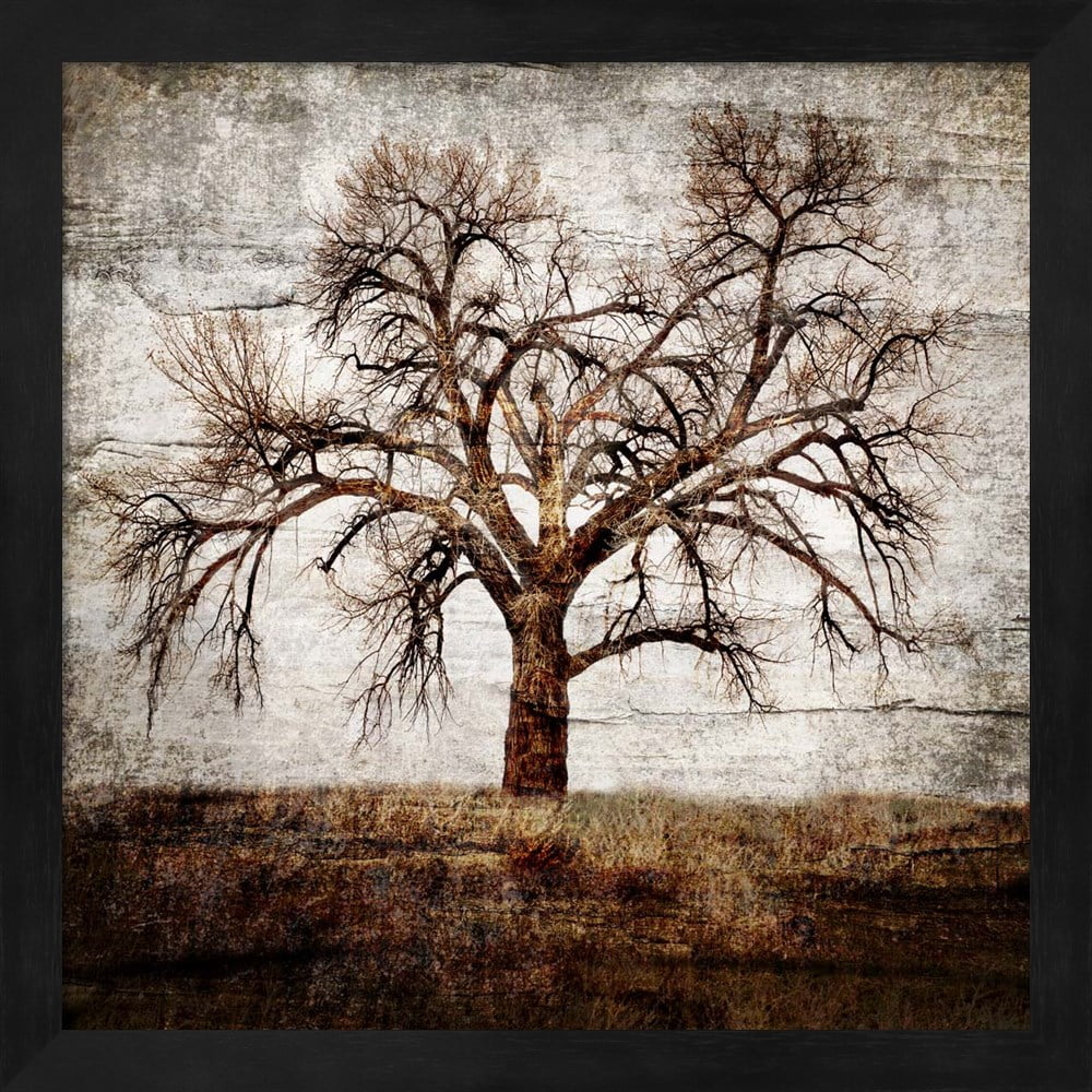Cottonwood Tree Part 1 by LightBoxJournal, Framed Wall Art, 13.25W x 13
