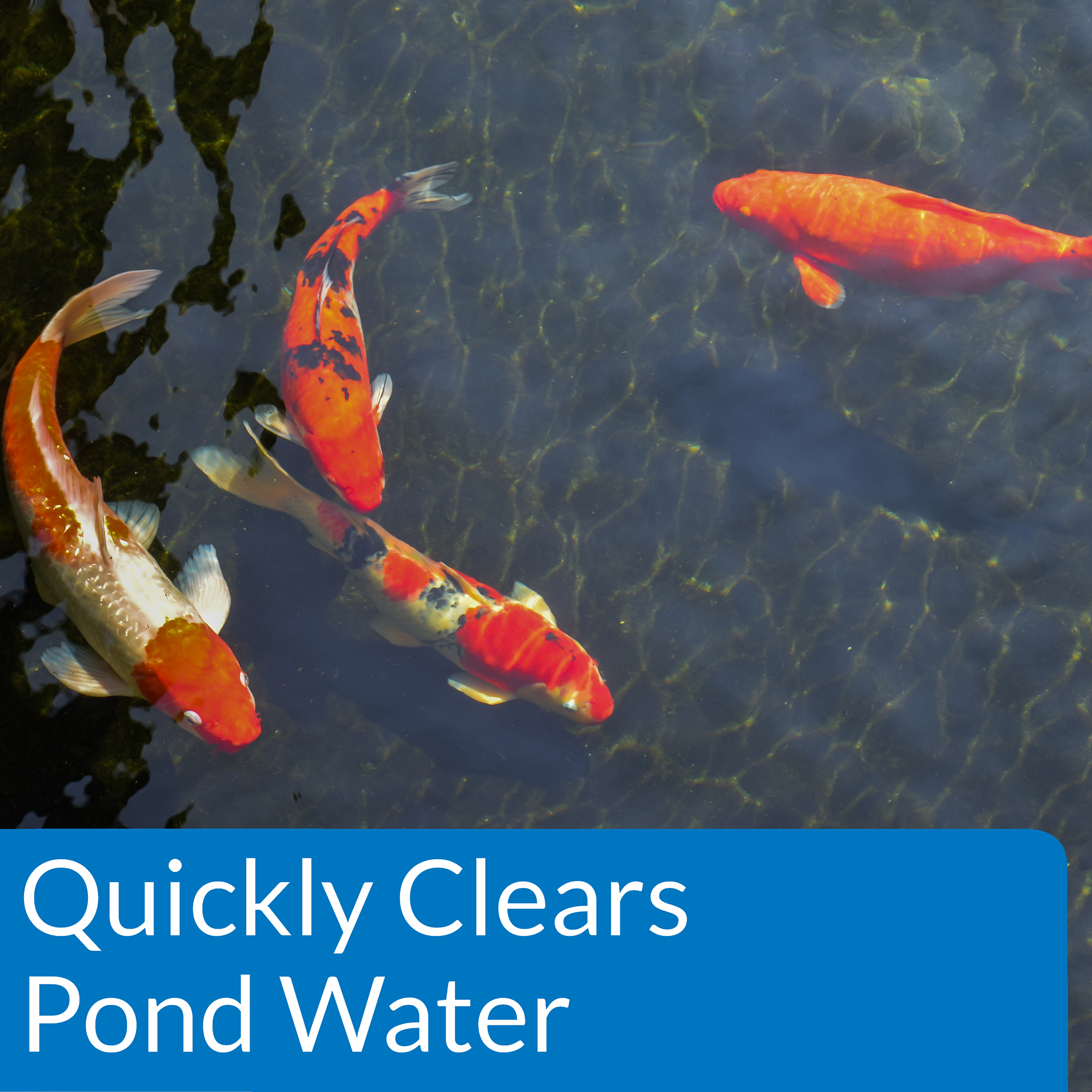 API Pond Accu-Clear, Pond Water Clarifier, 16-Ounce - image 4 of 7