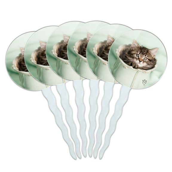 Manx Kitten Cat Vase Cupcake Picks Toppers Decoration Set of 6