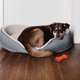 thumbnail image 4 of Perros Interactive Squeaky Bones juguete Látex Puppy Chew Toy Basketball Pet juguete para la limpieza de dientes Accesorios de juegos, 4 of 5