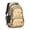 French Bulldog Orange, variant on French Bulldog Orange Pattern Backpack for School, Cute School Bag with Adjustable Shoulder Straps and Padded Back, 16.9"x12.6"x5.9"