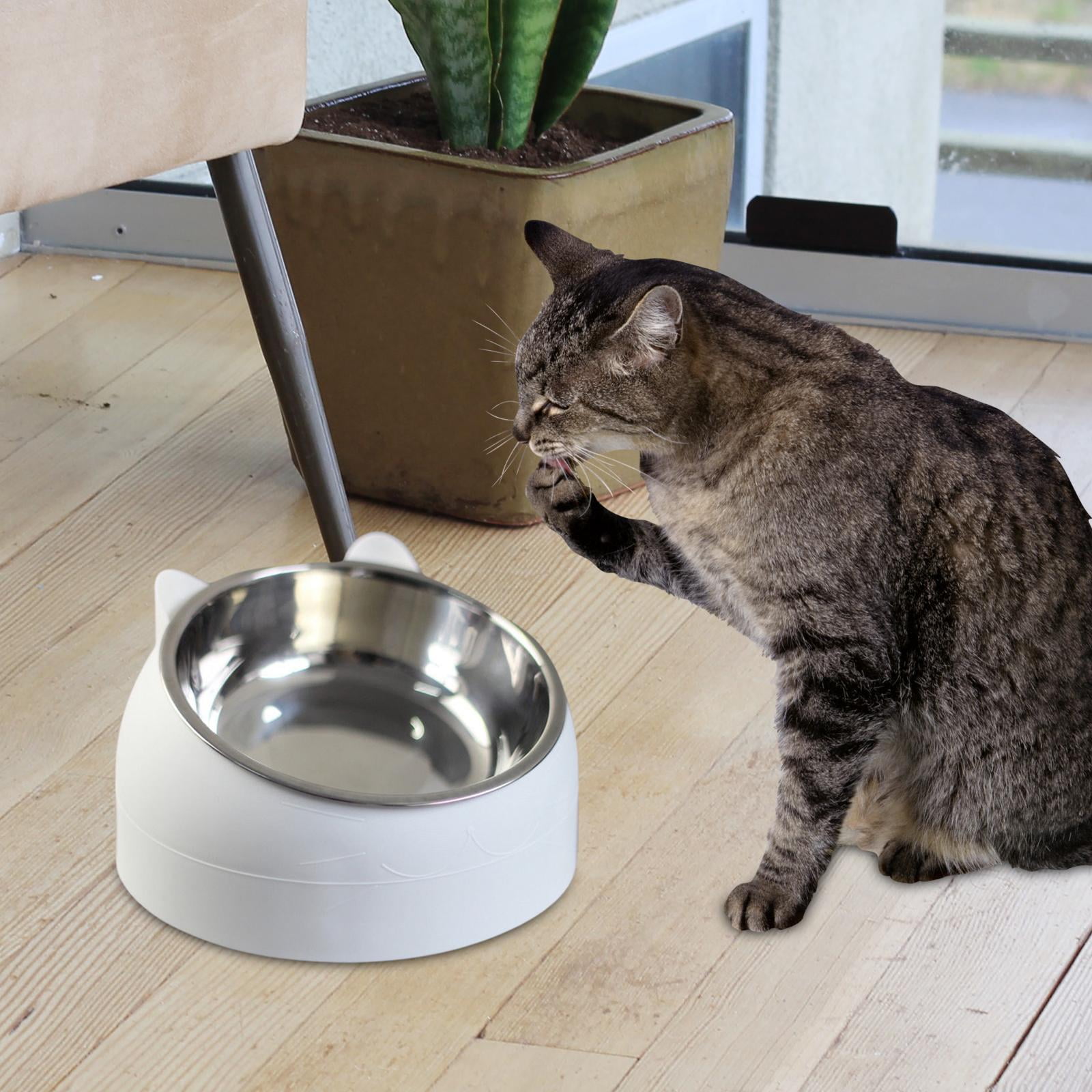 2x Metal Raised Cat Dog Bowls Container Feeding Dish Tilted Elevated Non Slip Neck Protective Bowl Indoor Cats Pet Feeder Pets Supplies Blue white