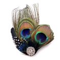 thumbnail image 1 of Aliotech Hermosas Horquillas para el Cabello con Plumas de Pavo Real y Mariposa con Diamantes de imitación, Pin para el Cabello con Plumas, Accesorio para el Cabello para Fiesta de Baile y Boda Nupcia, 1 of 4