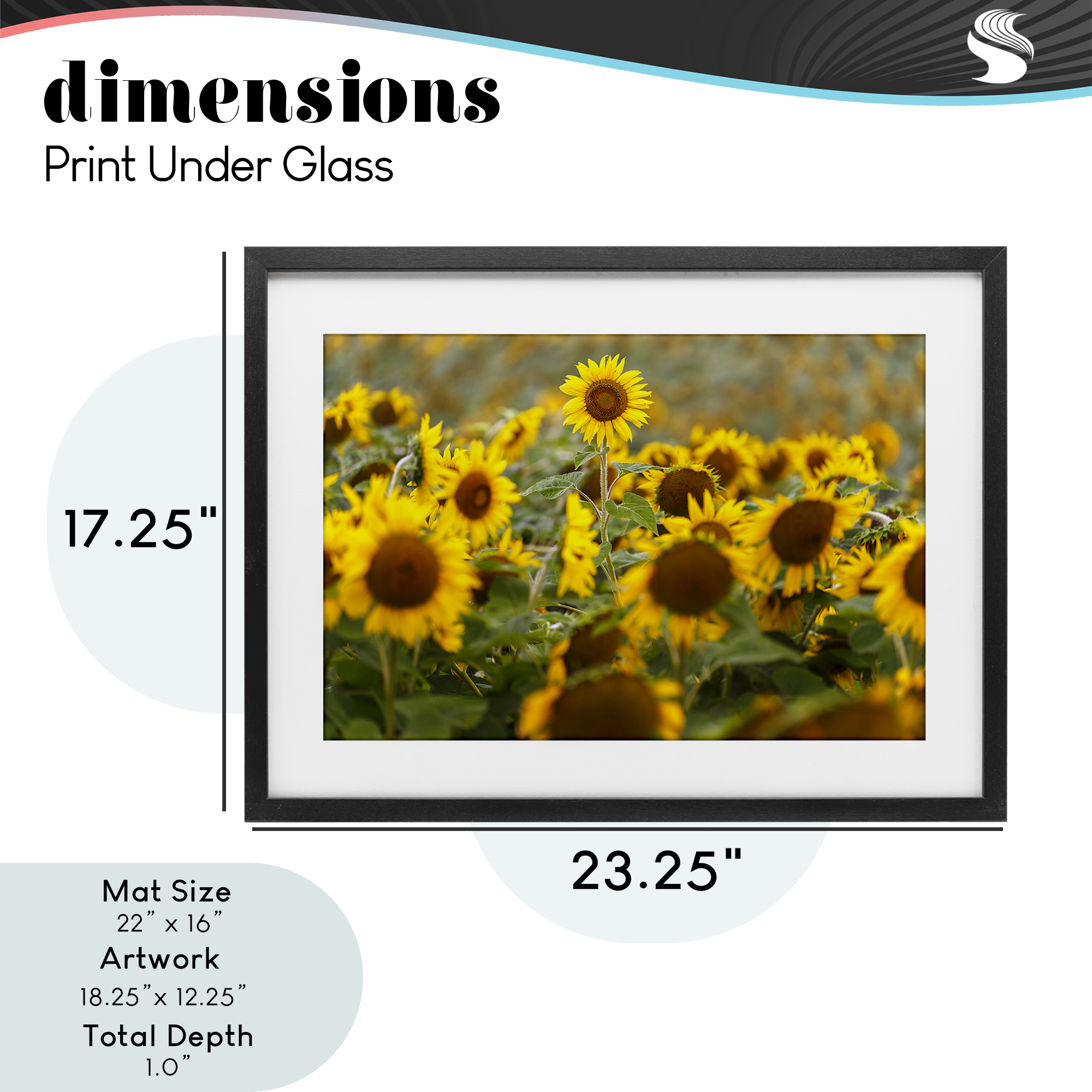 Central Sunflower in Meadow Black Framed Print Under Glass, design by Andy Crawford