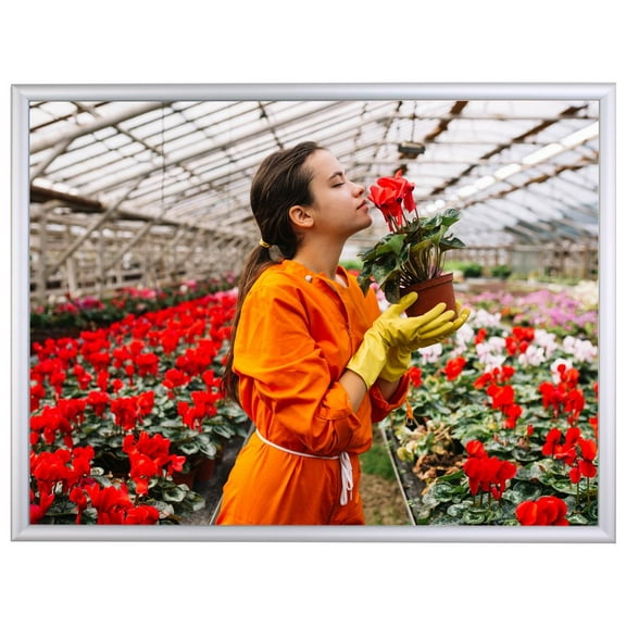 36 x 48 Poster Frame for Wall Mount, 1.5-inch-wide Hinged Profile for Loading Graphics Through the Front - Silver, Aluminum (QC3648SLV)