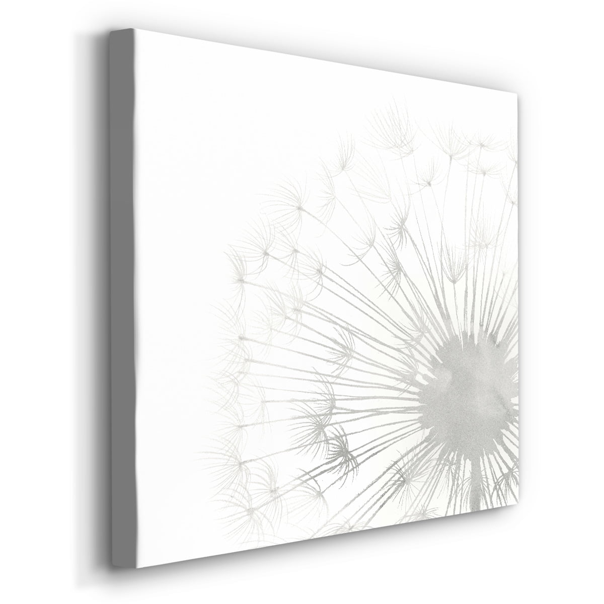 Wexford Home Dandelion Whisper II-Premium Gallery Wrapped Canvas, 40" x 40" - Ready to Hang