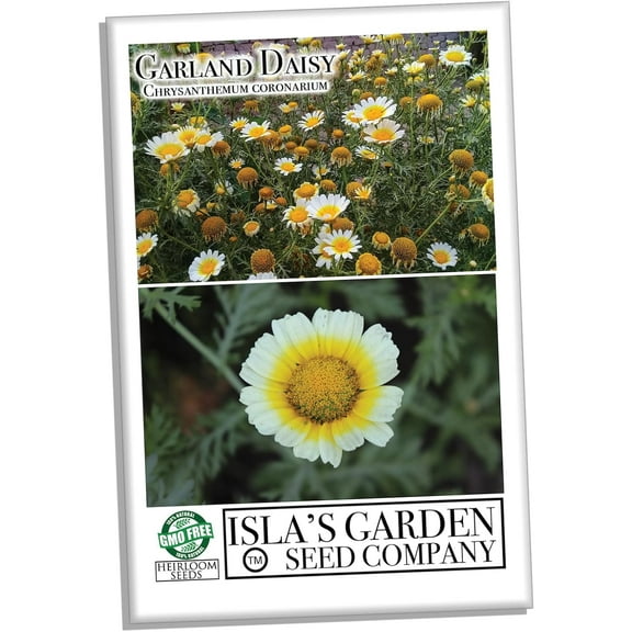 Chrysanthemum Flower Seeds, 1500+ Premium Heirloom Seed, Chrysanthemum Coronarium, 90% Germination, (Isla's Garden Seeds), Non Gmo