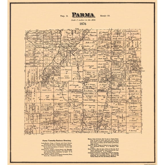 Historic City Map - Parma Ohio - Titus 1876 - Vintage Wall Art