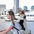 thumbnail image 2 of Pet Backpack Breathable Pet Dog Carrier Bag For Large Dogs Bulldog Backpack Adjustable Travel BagsM, 2 of 5