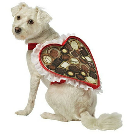 Valentine Sweetest Day Chocolates Romance Lovers Chocolate Heart Box Dog Costume