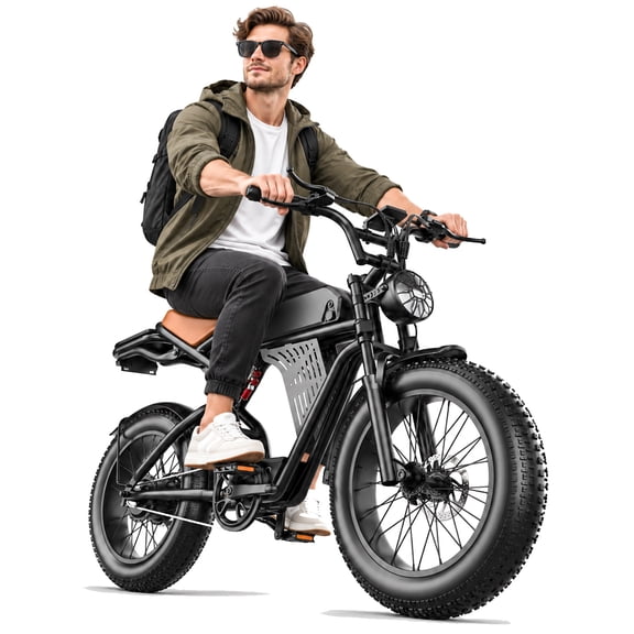 Soonaway F30 Electric Bike for Adults, 750W Rated, 48V20Ah, 20" × 4" All-Terrain Fat Tire Retro Ebike, Dual Suspension & Dual Brakes, UL2849