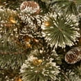 thumbnail image 2 of National Tree Company 9 ft. Glittery Bristle Pine Tree with Clear Lights, 2 of 3