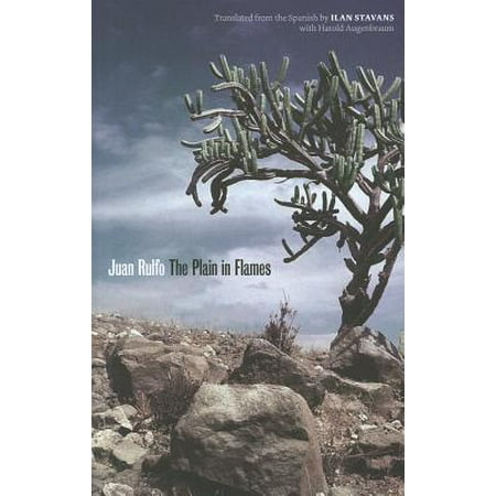 Joe R. and Teresa Lozana Long Series in Latin American and Latino Art and Culture (Paperback): The Plain in Flames