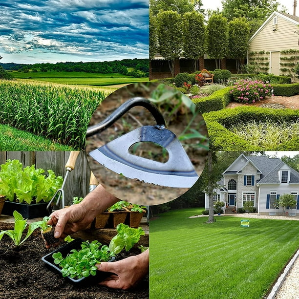 Different 2024 garden hoes