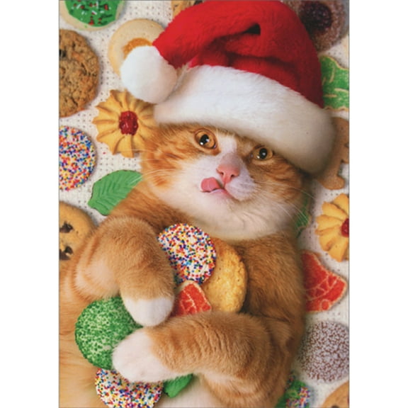 Avanti Press Santa Cat Lying on Back, Holding Cookies and Licking Lips Pack of 10 Funny Christmas Cards