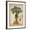 Brown Frame, variant on Art.com Linen Fan Palm Tree Art Print by Chad Barrett, 12" x 16"