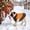Orange/XL, variant on Warm Dog and Cat Winter Coat, Thick Padded Cold-Weather Pet Jacket for Small and Medium Dogs and Cats, Outdoor Walking Apparel for Fall and Winter, Orange, Size M, Dog, Cat