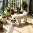 thumbnail image 4 of Elevated Stainless Steel Dog Bowl with Stand, Raised Pet Food and Water Bowl, Non- Feeder for Small to Medium Dogs, 4 of 6