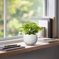 thumbnail image 5 of Ordivic 4 inch White Textured Ceramic Planter Pot with Drainage Hole & Plug, Small Decorative Indoor Flower Pot for Succulent Cactus Houseplant,Desktop Home Office Table Decor, 5 of 7