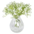 thumbnail image 3 of Mainstays Baby's Breath Pick, Solid, White Green, 13", 3 of 5