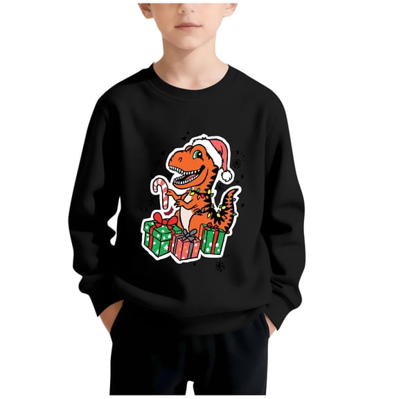 Dinosaur for Kids Girl Boy Winter Fall Long Sleeve Boat Neck Fleece Lined Wool Vacation Christmas Pullover Cute Thermal Fuzzy Outfits Sweatshirt Kid 2026