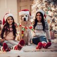thumbnail image 5 of Accesorios navideños para mascotas Collar navideño para perros Collares para mascotas, 5 of 5