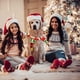 thumbnail image 5 of Accesorios navideños para mascotas Collar navideño para perros Collares para mascotas, 5 of 5