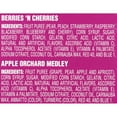 thumbnail image 5 of Welch's Fruit Snacks, Apple Orchard & Berries N' Cherries, 66 ct, 0.9 oz, 5 of 8