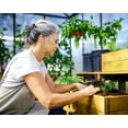 thumbnail image 5 of Palram - Canopia Glory 6' x 8' Walk-In Greenhouse - Gray - with Automatic Roof Vent Opener, 5 of 13