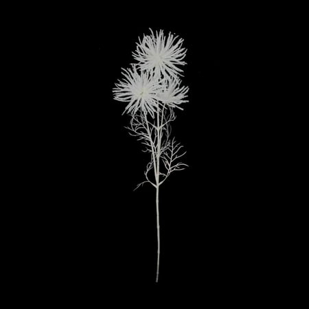 Antique White Twigs - Vickerman 29