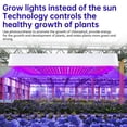 thumbnail image 4 of 216-LED Full Spectrum Indoor Plant Grow Light with 3 Modes (VEG/Bloom/VEG+Bloom), 20㎡ Large Coverage, Height-Adjustable Hanging Design, Waterproof ABS+PET Shell, Efficient Heat Dissipation for, 4 of 6
