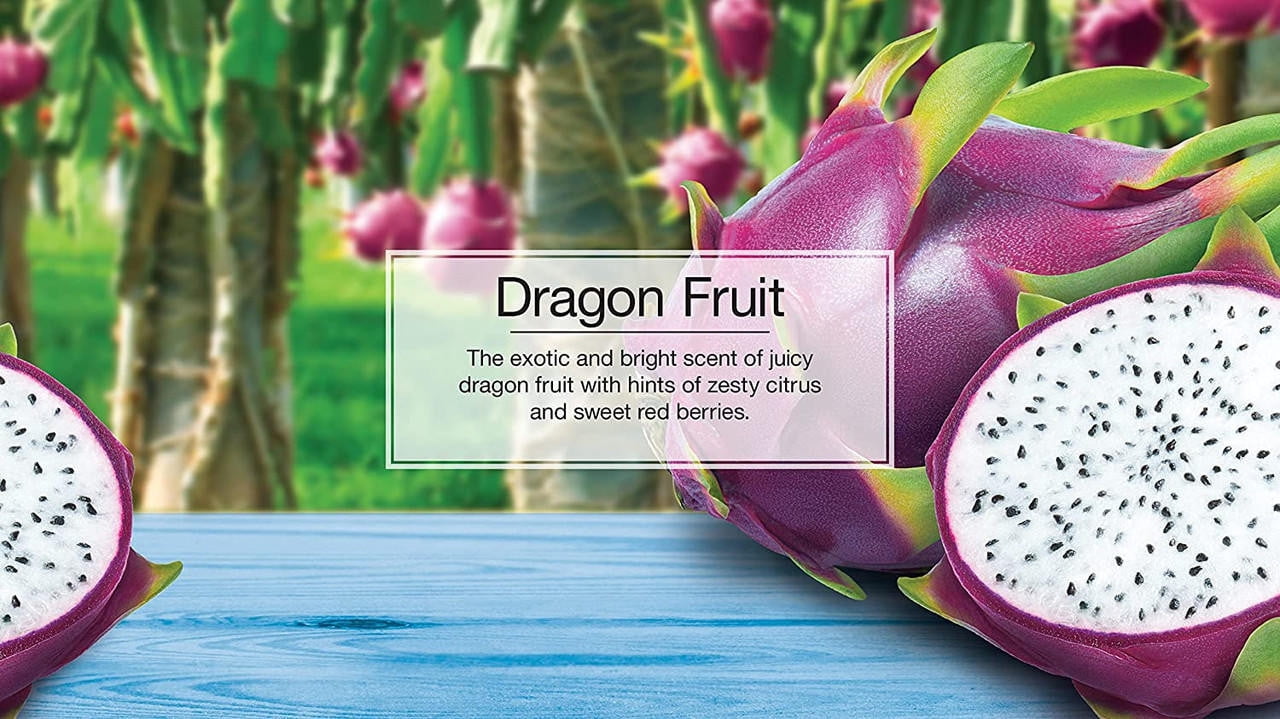 Little Trees Dragon Fruit Hanging Air Freshener for Car & Home 24 Pack!