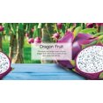 thumbnail image 4 of Little Trees Dragon Fruit Hanging Air Freshener for Car & Home 24 Pack!, 4 of 4
