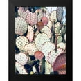 thumbnail image 2 of Orlov, Irena 15x18 Black Modern Framed Museum Art Print Titled - Pink Yellow Cactus IV, 2 of 5