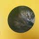 thumbnail image 4 of Cheese-shaped cardboard scratching house for cats, interesting house for resting and playing, 4 of 4