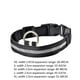 thumbnail image 3 of Billuyoard Collar de perro Led con carga USB, Collar antipérdida/para evitar accidentes de coche para perros, cachorros, collares para perros, Suministros para perros 7 colores METRO, 3 of 3
