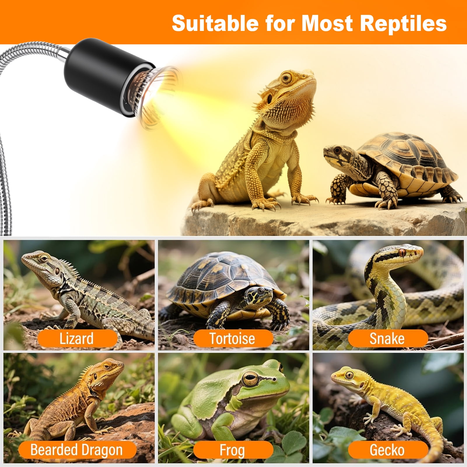 Reptile Heat Lamp with Clamp, UVA UVB Turtle Basking Light, Timer & Dimming, 360° Rotatable for Bearded Dragon/Lizard/Snake/Amphibians, 2 Bulbs 50W