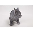 thumbnail image 3 of Garden Decor Animal Statue Russian Blue Kitten Statue, 3 of 4