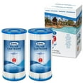 Type A/C Pool Filter Cartridge for Intex Filter Pump, Inground and
