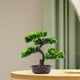 thumbnail image 4 of de bonsái artificial, verde decorativo con maceta, simulación de bonsái, de imitación para granja, escritorio, baño, decoración del, 4 of 7