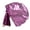Purple, variant on Baisdan Worship Flag for Dance Church, Praise Dance Flag with Flexible Rod, 74.8"L x 55.12"W, 1 Pack, Silver