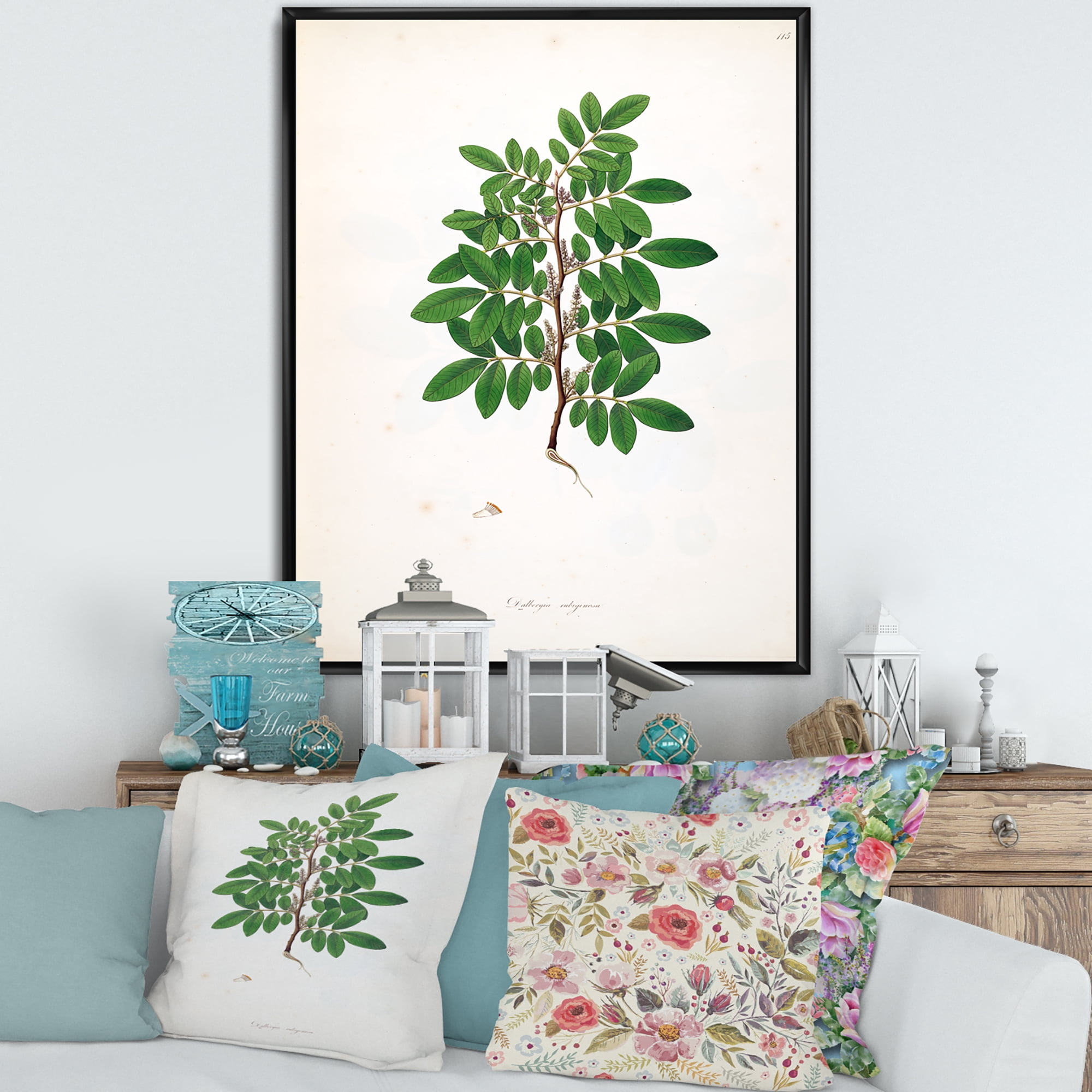 Designart 'Ancient Plant Life XX' Farmhouse Framed Canvas Wall Art Print